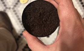 Spitting Fetish Photos