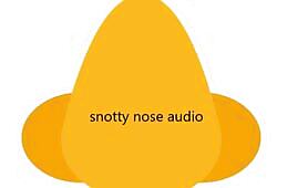 snotty nose audio