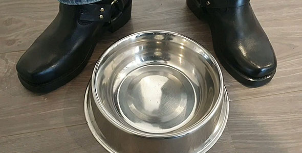 POV pup training video