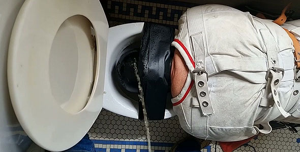 Abuse the dirty little piggy!