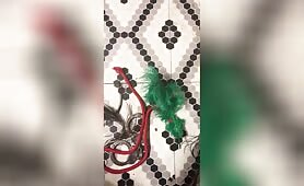 What Is Your Favorite Fetish MP4?