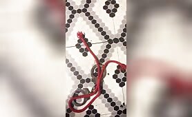 Why Is Ballbusting the Best Fetish MP4?